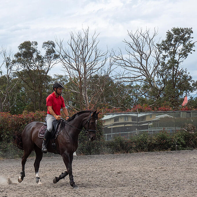 Shane Rose Shane Rose