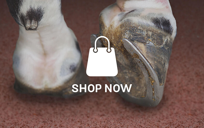 Shop now — REGUPOL equiline walkway (21 mm)