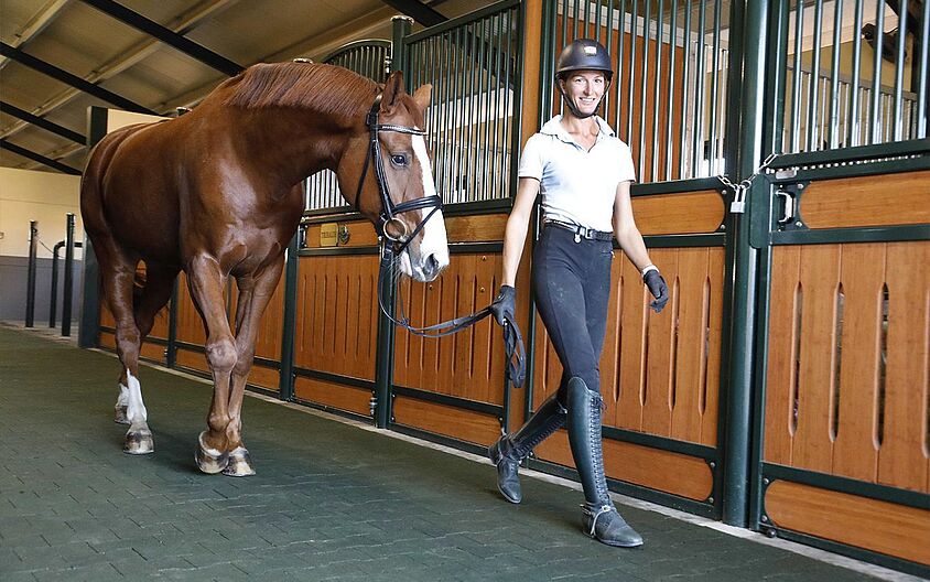 Equestrian Center Sun Point 26 in Madrid, Spain Equestrian Center Sun Point 26 in Madrid, Spain