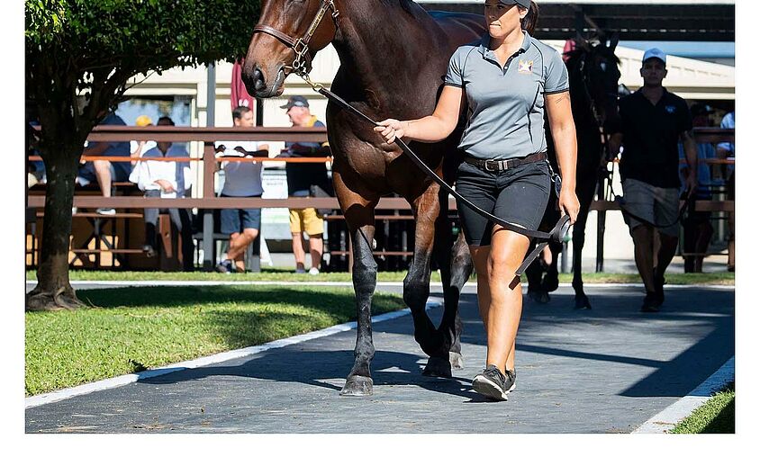 Magic Millions, Gold Coast QLD, Australia