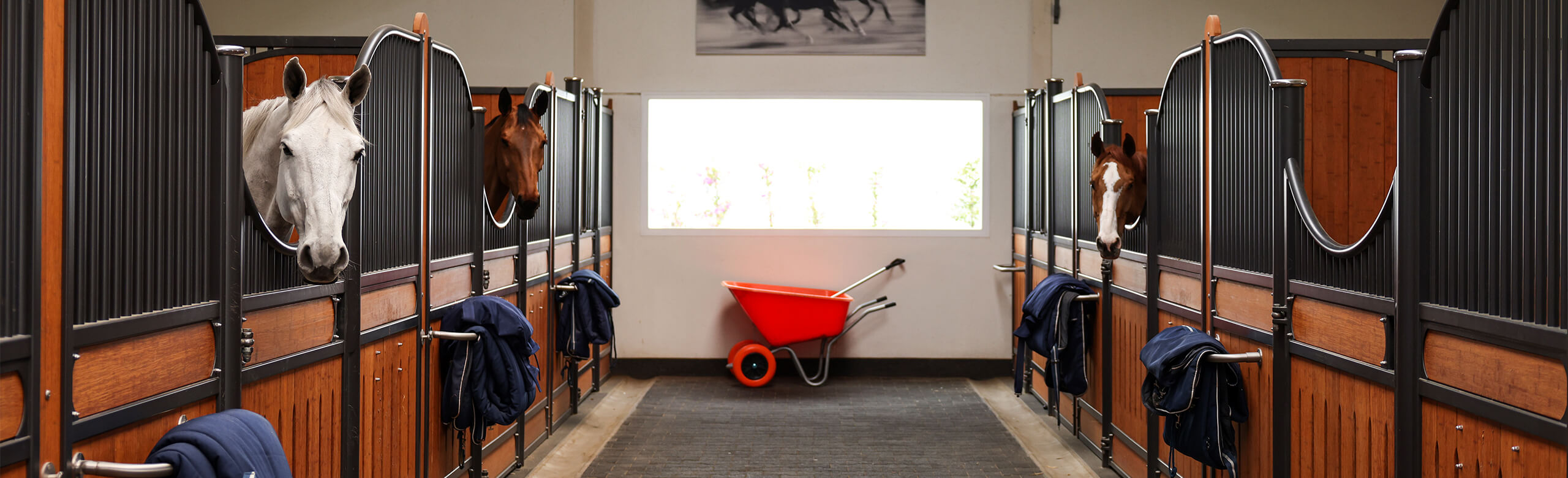 Horse stall mats made from REGUPOL. stable box flooring, stable flooring, horse stable flooring, stable rubber flooring, equine stall flooring, horse stable rubber flooring, stable mats, equine stable mats, horse stable mats, horse mats, rubber mats for horses, horse rubber matting, horse matting Stable with mats for the horse box