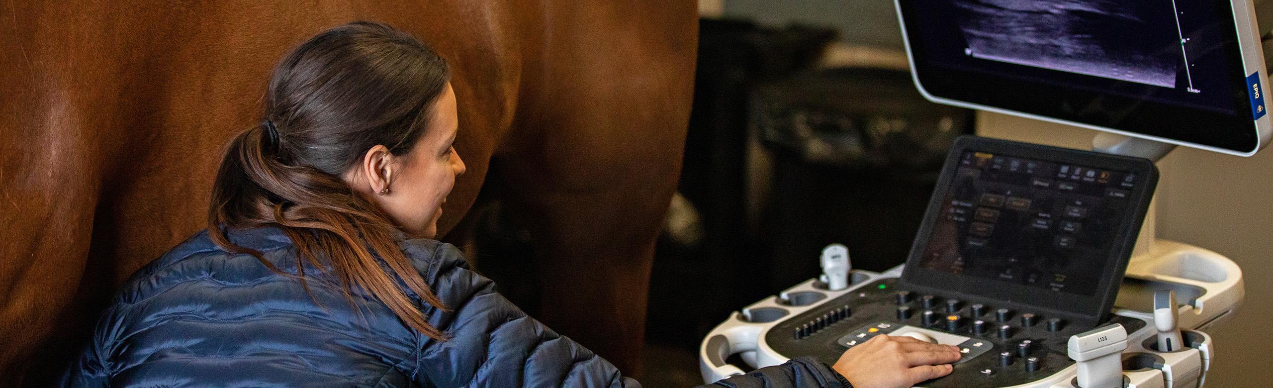 equine clinic flooring, equine clinic mats