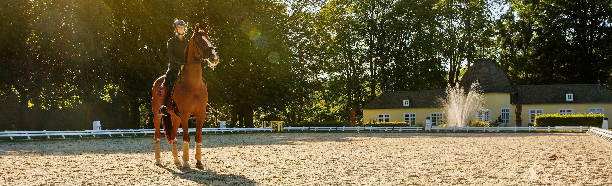 Dressage rider Nathalie zu Sayn-Wittgenstein on her horse in a riding arena
